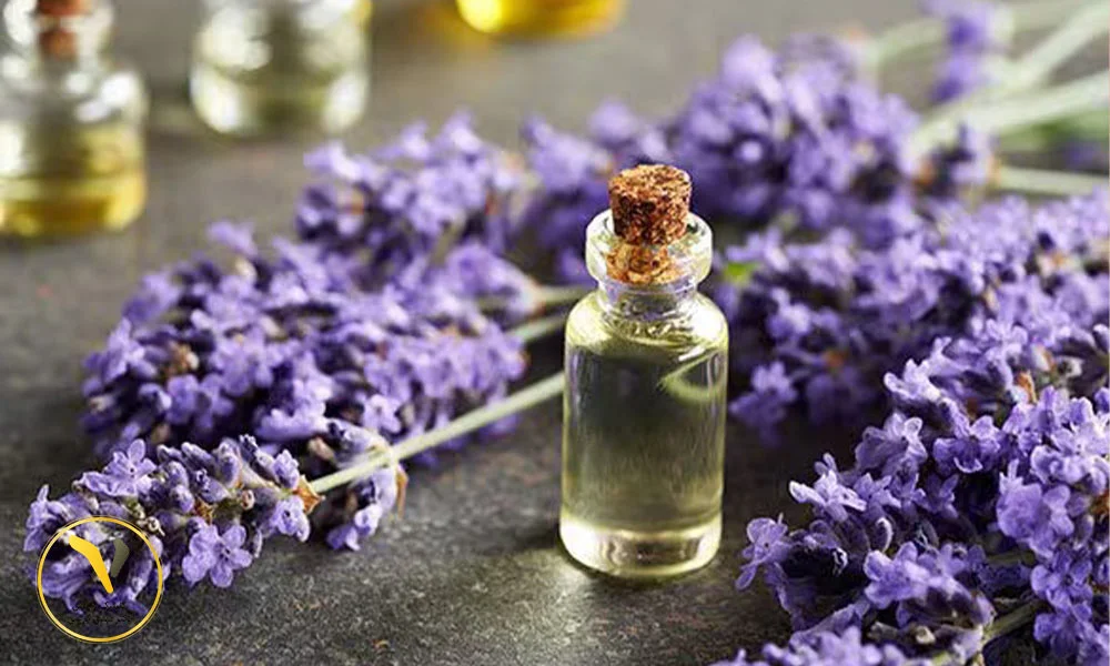 روغن اسطوخودوس